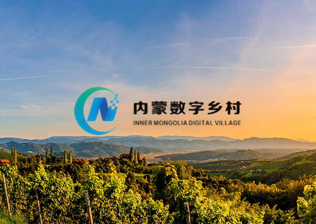 ���ɹ����������������޹�˾