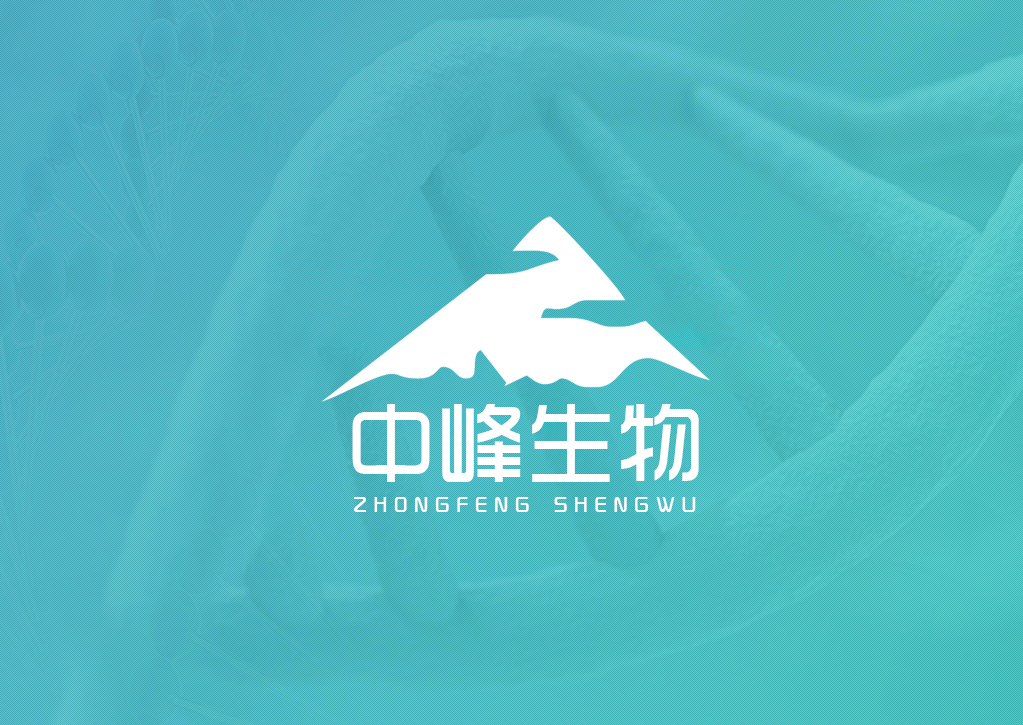 ���ɹ��з�����Ƽ����޹�˾