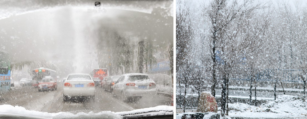 MS88����(�й���)M88����