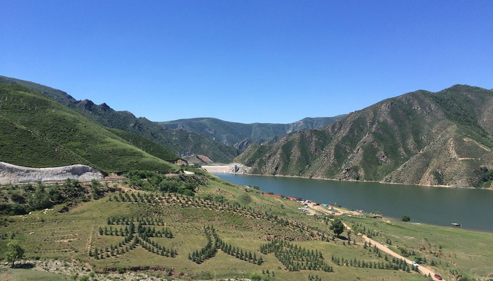 MS88����(�й���)M88����