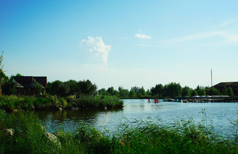 MS88����(�й���)M88����