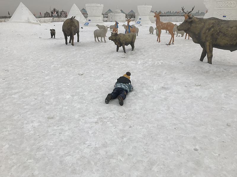 MS88����(�й���)M88����