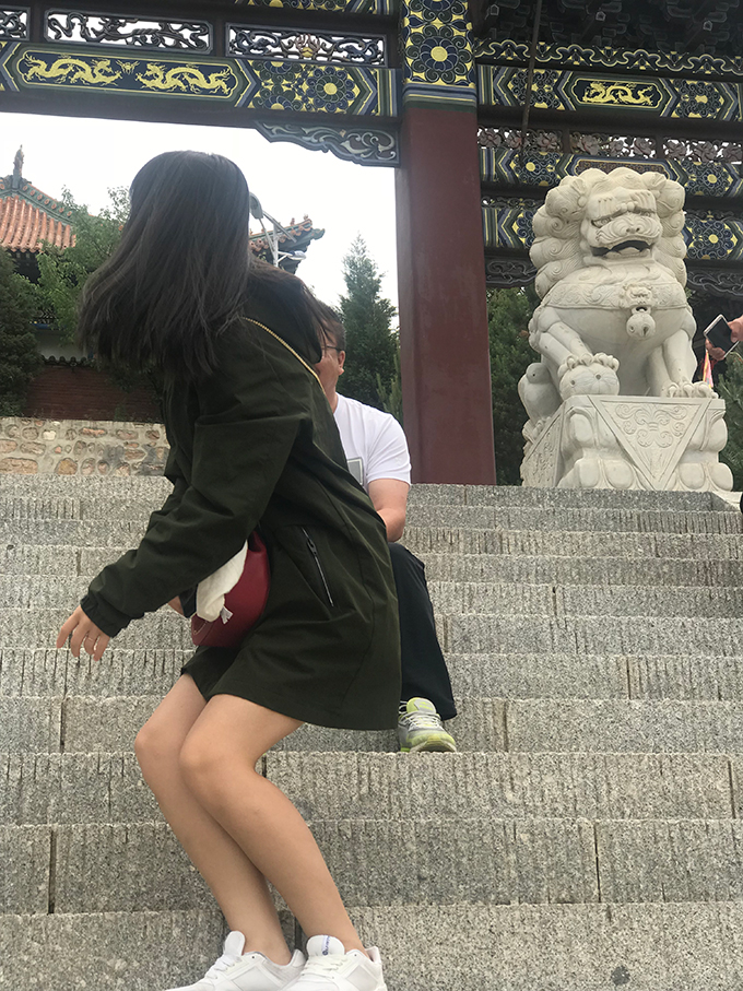 MS88����(�й���)M88����