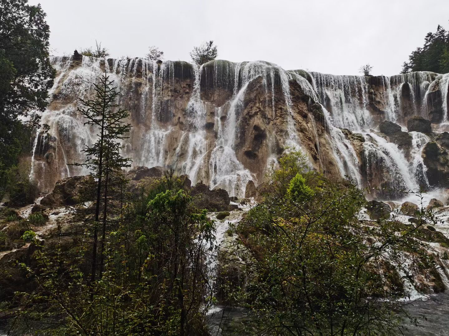 MS88����(�й���)M88����