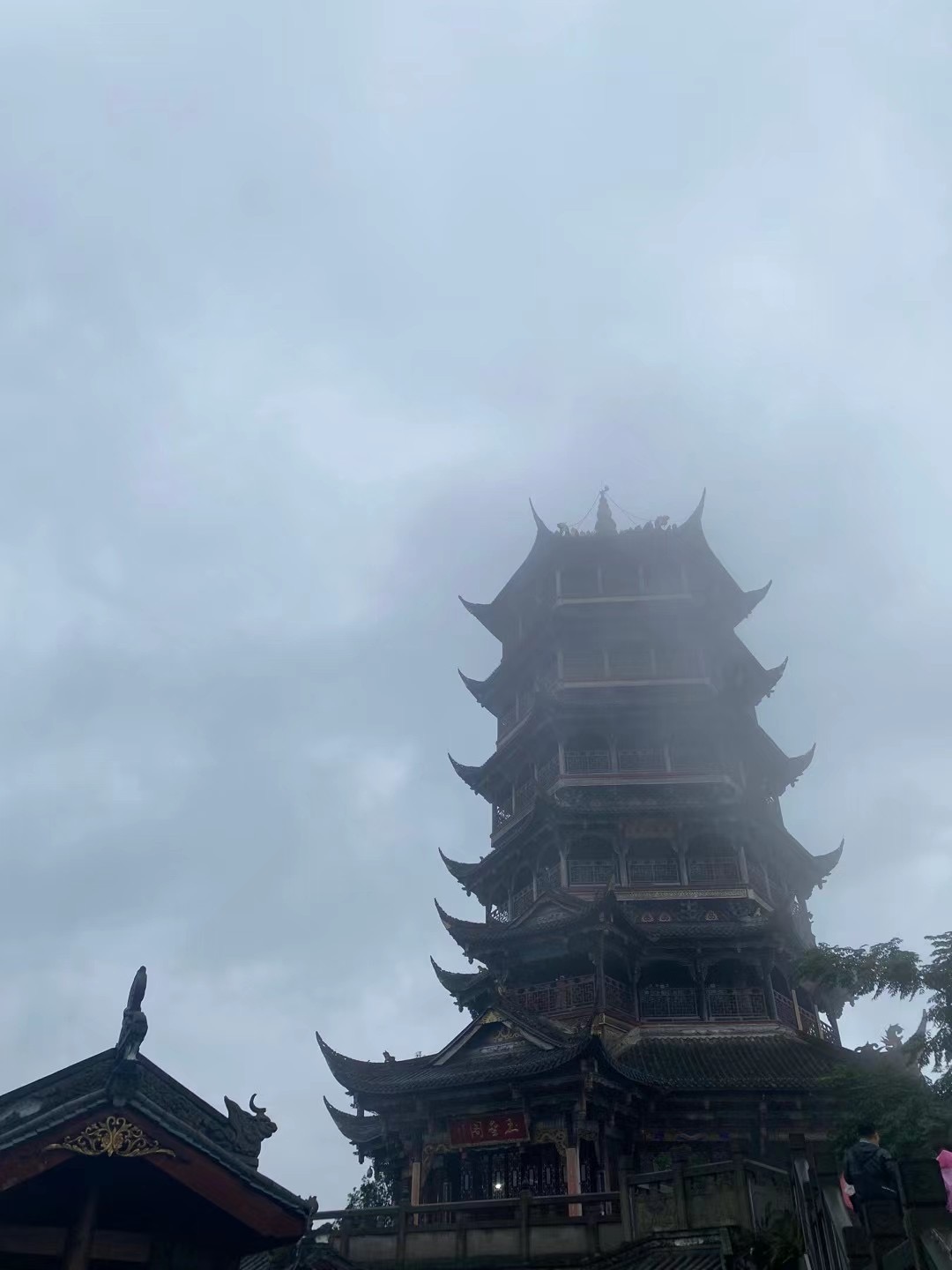 MS88����(�й���)M88����